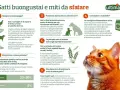 Gatti: cosa non possono mangiare? No al cibo per cani, sì a proteine varie. L'alimentazione felina è specifica.