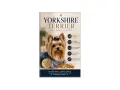 Un adorabile Yorkshire Terrier con un fiocco blu, protagonista di una guida completa sulla razza.