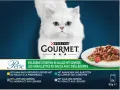 Un elegante gatto bianco guarda verso il basso, accanto a un piatto di cibo gourmet gatto bustine.