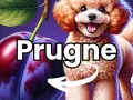 Un simpatico barboncino guarda delle prugne, suggerendo che i cani possono mangiare le prugne.