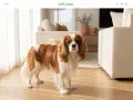 Un adorabile king charles spaniel con pelo bianco e castano guarda dritto, in un soggiorno moderno.