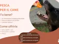 Un cane nero affamato riceve un pezzetto di pesca da una mano. Sì, i cani possono mangiare le pesche, sono un ottimo snack!