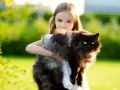 Bambina abbraccia un gatto nero, uno dei tanti gatti giganti che popolano il giardino.