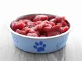 Ciotola azzurra con impronta di zampa e osso, piena di carne cruda al gatto, pronta per un pasto delizioso.