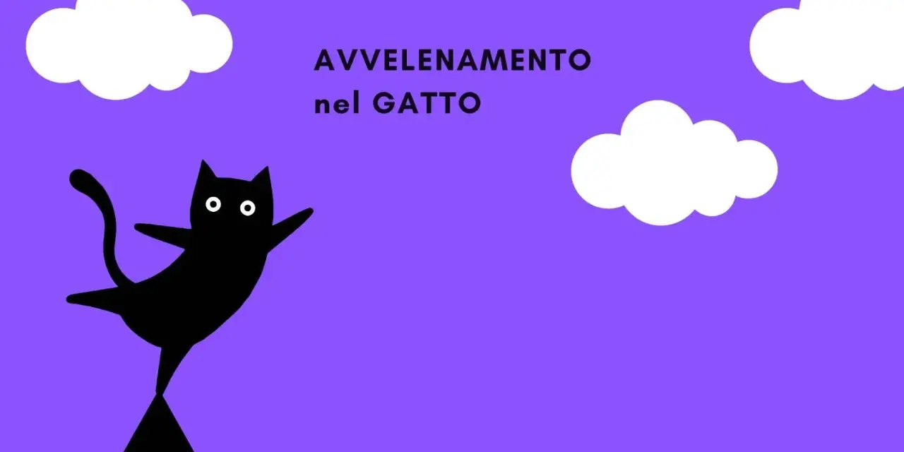 Un gatto nero stilizzato con occhi bianchi, su sfondo viola con nuvole. Il testo "AVVELENAMENTO nel GATTO" suggerisce un pericolo.
