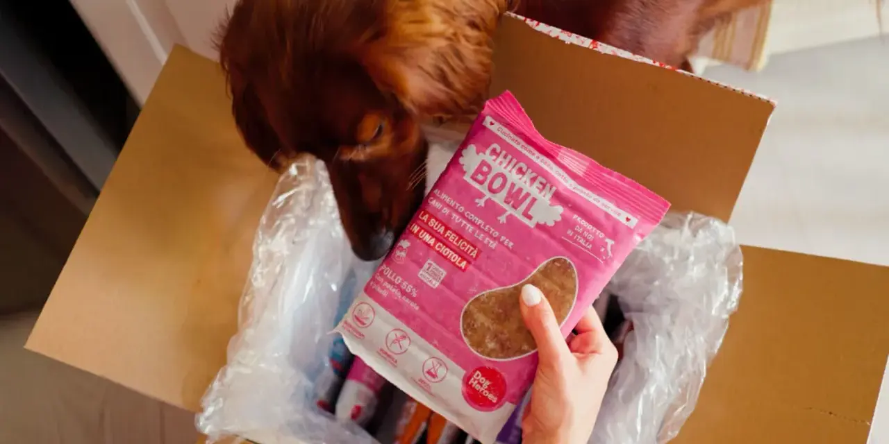 Un cane curioso annusa una confezione di cibo fresco per cani "Chicken Bowl", un pasto completo per la felicità del tuo amico a quattro zampe.