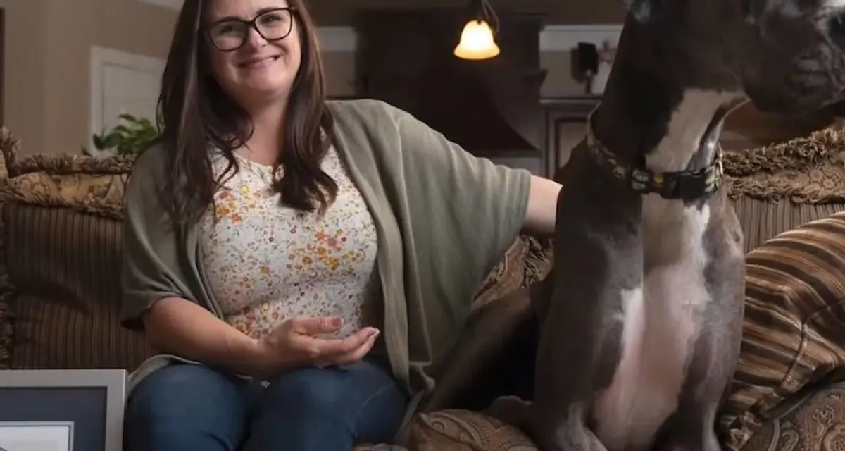 Donna sorride seduta sul divano accanto al cane più grande del mondo, un alano grigio con un collare colorato.