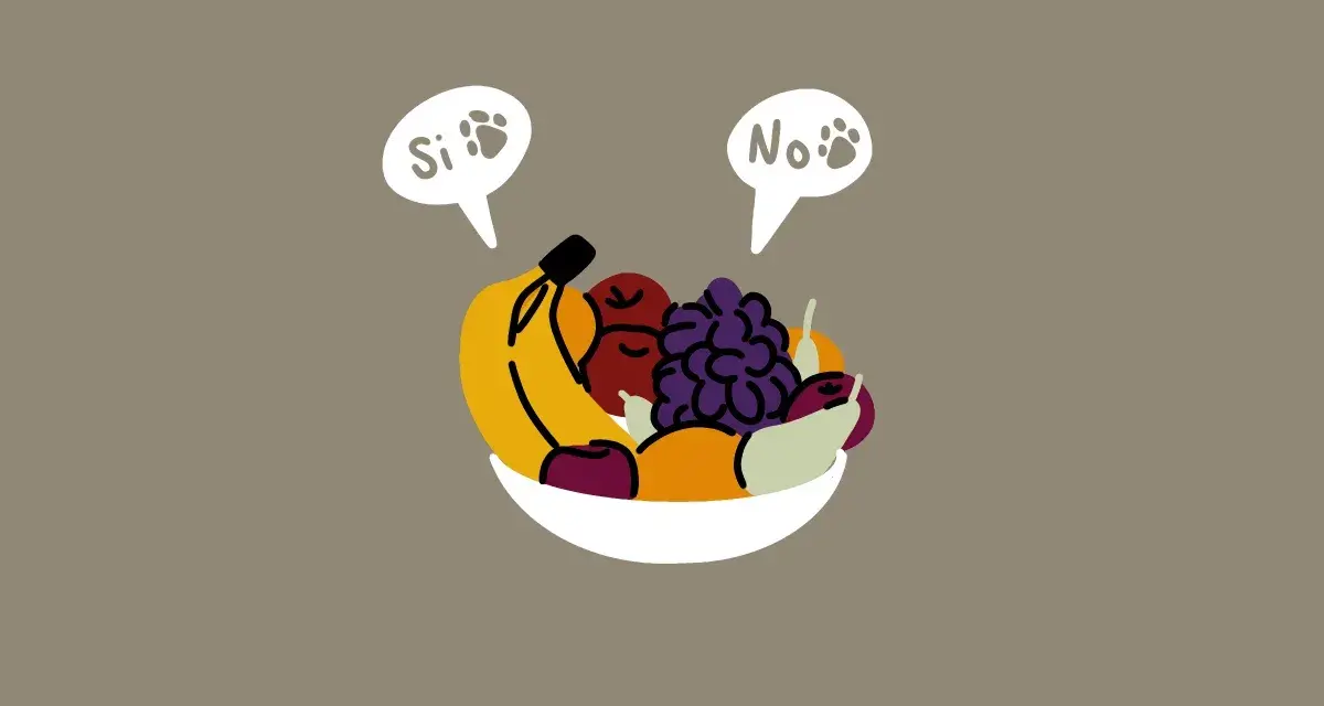 Ciotola di frutta con fumetti "Si" e "No" che indicano cosa non possono mangiare i cani.