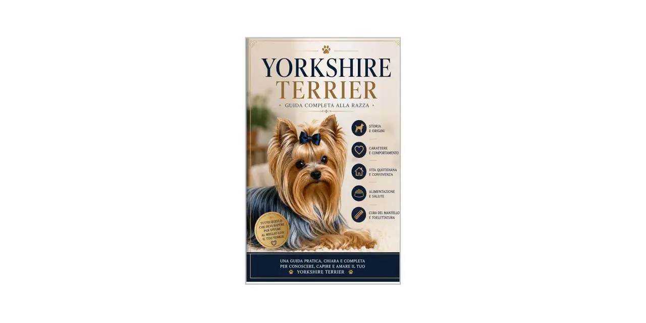 Un adorabile Yorkshire Terrier con un fiocco blu, protagonista di una guida completa sulla razza.