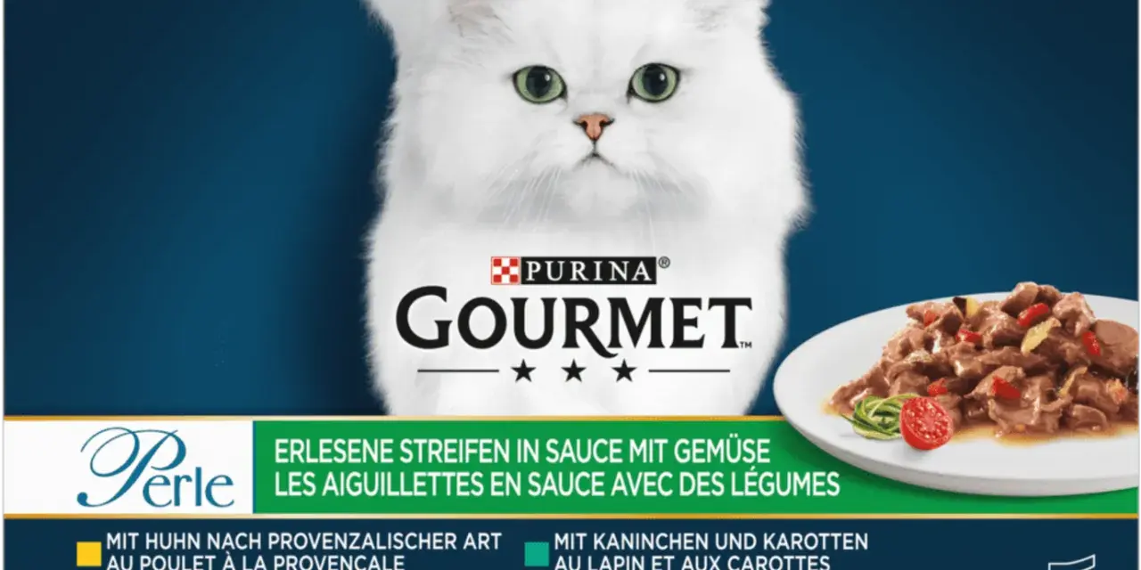 Un elegante gatto bianco guarda verso il basso, accanto a un piatto di cibo gourmet gatto bustine.