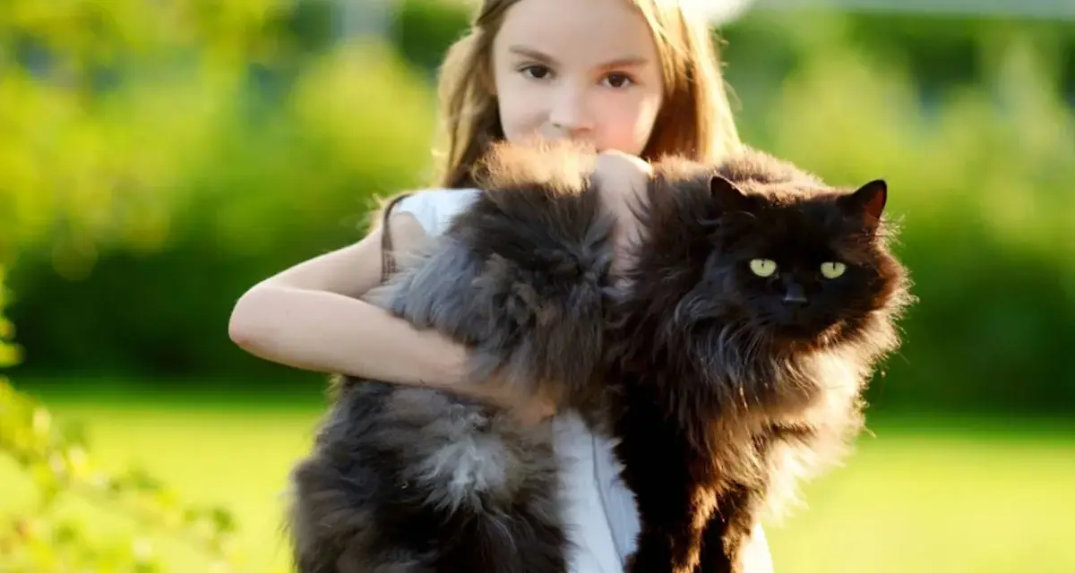 Bambina abbraccia un gatto nero, uno dei tanti gatti giganti che popolano il giardino.