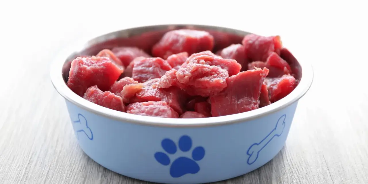 Ciotola azzurra con impronta di zampa e osso, piena di carne cruda al gatto, pronta per un pasto delizioso.