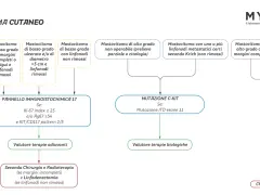 Algoritmo per il mastocitoma cane: valuta grado, margini, linfonodi e mutazioni C-KIT per definire terapie adiuvanti, biologiche o chemioterapia.