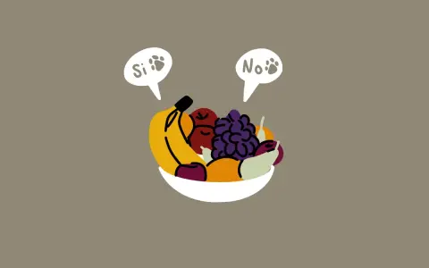 Ciotola di frutta con fumetti "Si" e "No" che indicano cosa non possono mangiare i cani.
