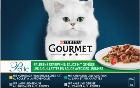 Un elegante gatto bianco guarda verso il basso, accanto a un piatto di cibo gourmet gatto bustine.