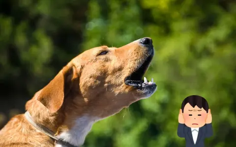 Un cane che abbaia in giardino privato, con un uomo che si tappa le orecchie per il rumore.