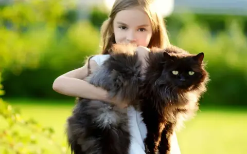 Bambina abbraccia un gatto nero, uno dei tanti gatti giganti che popolano il giardino.