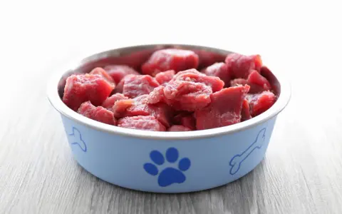 Ciotola azzurra con impronta di zampa e osso, piena di carne cruda al gatto, pronta per un pasto delizioso.