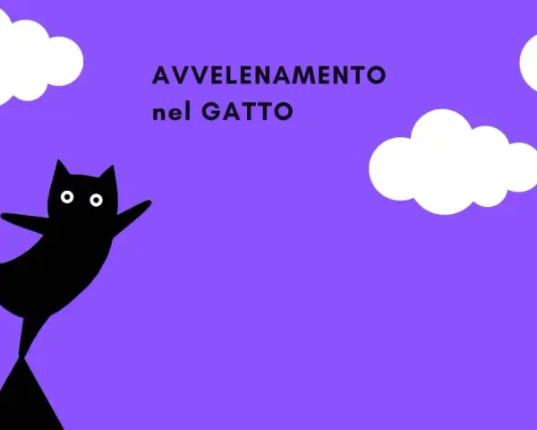 Un gatto nero stilizzato con occhi bianchi, su sfondo viola con nuvole. Il testo "AVVELENAMENTO nel GATTO" suggerisce un pericolo.