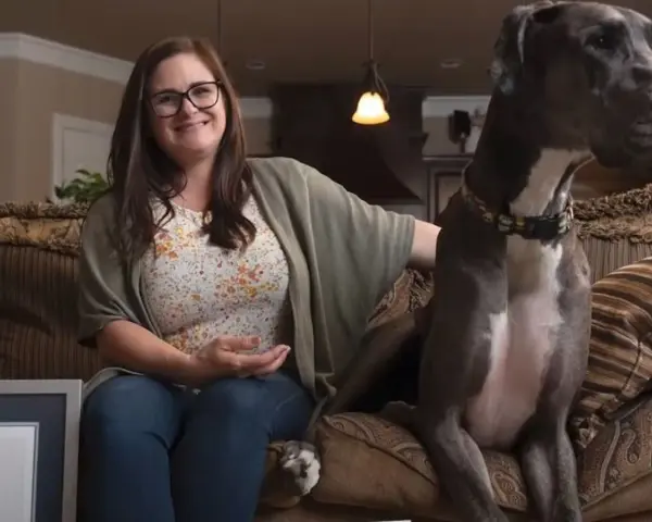 Donna sorride seduta sul divano accanto al cane più grande del mondo, un alano grigio con un collare colorato.
