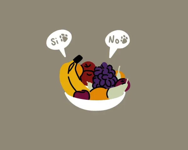 Ciotola di frutta con fumetti "Si" e "No" che indicano cosa non possono mangiare i cani.
