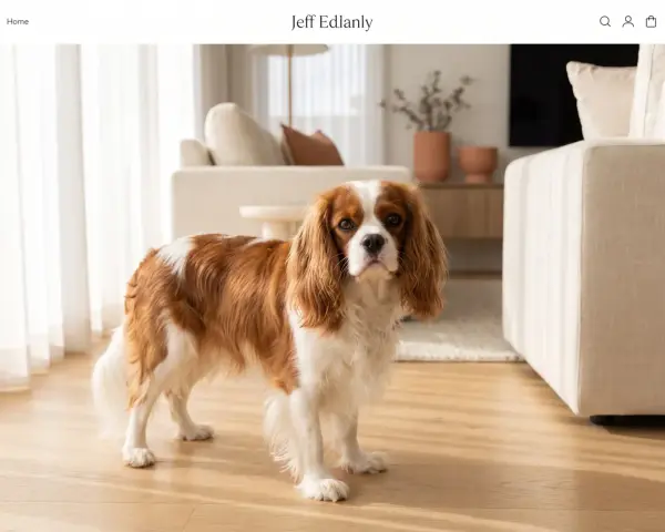 Un adorabile king charles spaniel con pelo bianco e castano guarda dritto, in un soggiorno moderno.