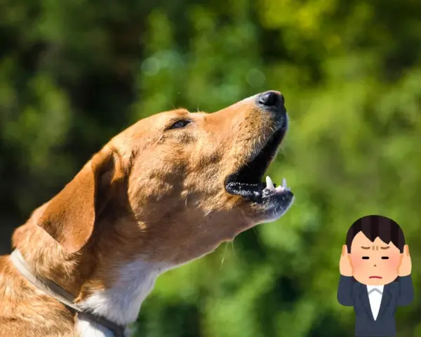 Un cane che abbaia in giardino privato, con un uomo che si tappa le orecchie per il rumore.