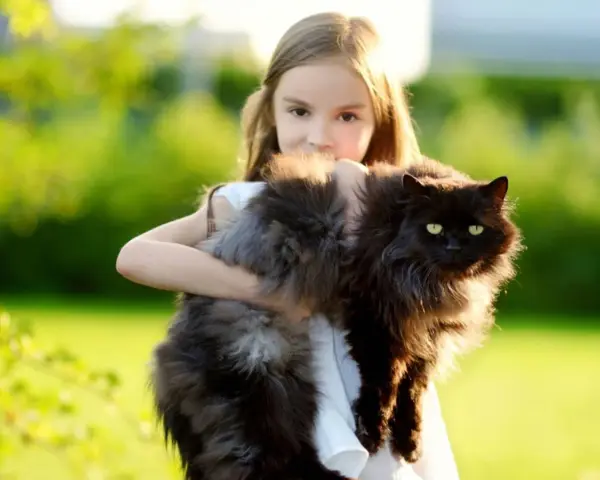 Bambina abbraccia un gatto nero, uno dei tanti gatti giganti che popolano il giardino.