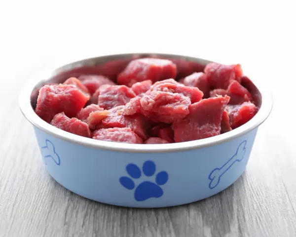 Ciotola azzurra con impronta di zampa e osso, piena di carne cruda al gatto, pronta per un pasto delizioso.