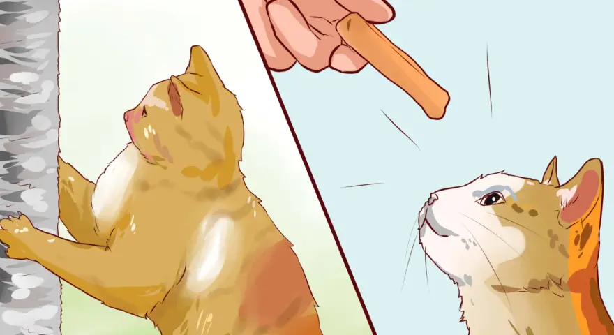 Gatto arrampicato su un albero, mentre una mano offre un bocconcino per insegnare come educare un gatto a non fare qualcosa.