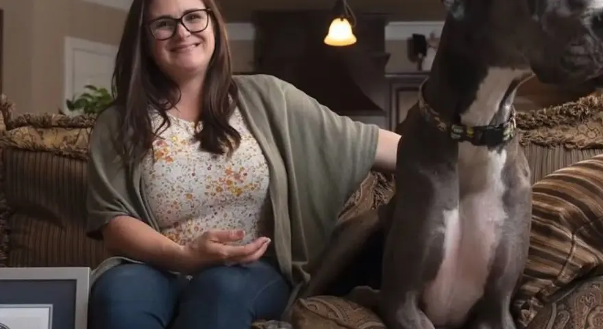 Donna sorride seduta sul divano accanto al cane più grande del mondo, un alano grigio con un collare colorato.