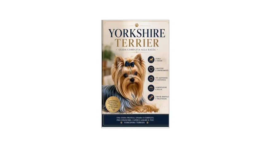 Un adorabile Yorkshire Terrier con un fiocco blu, protagonista di una guida completa sulla razza.