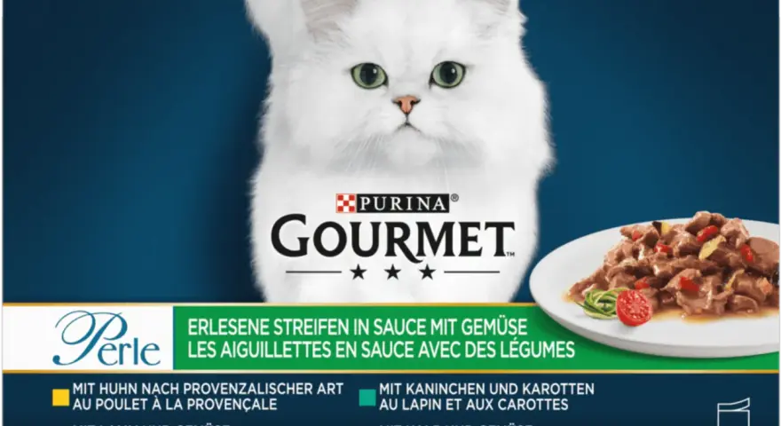 Un elegante gatto bianco guarda verso il basso, accanto a un piatto di cibo gourmet gatto bustine.