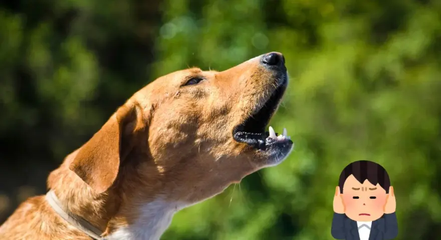 Un cane che abbaia in giardino privato, con un uomo che si tappa le orecchie per il rumore.