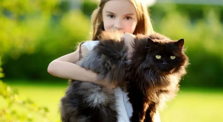 Bambina abbraccia un gatto nero, uno dei tanti gatti giganti che popolano il giardino.