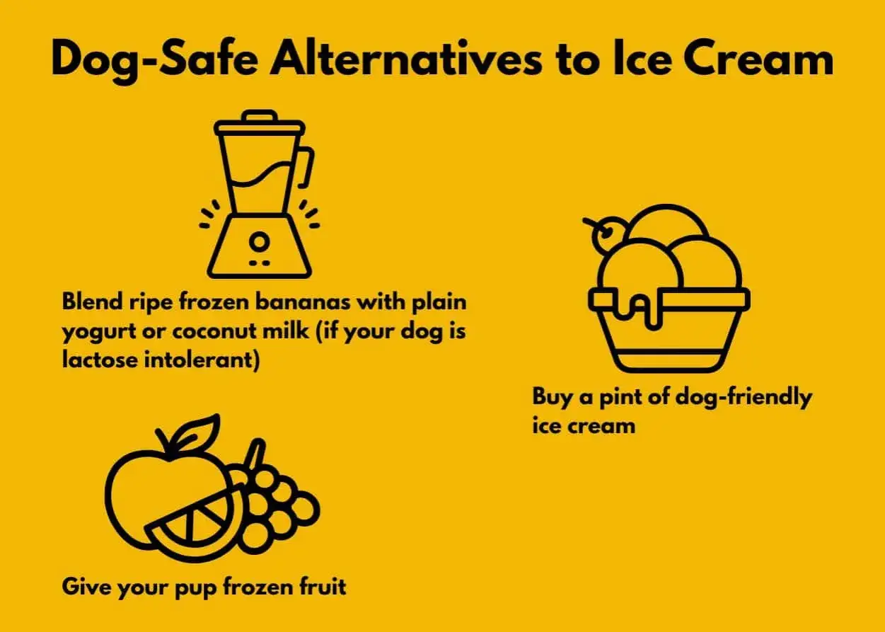 Alternativa sicura al gelato per il tuo cane: frutti congelati, frullati con yogurt o latte di cocco, o gelato apposito. Il cane pu&ograve; mangiare il gelato in queste forme!
