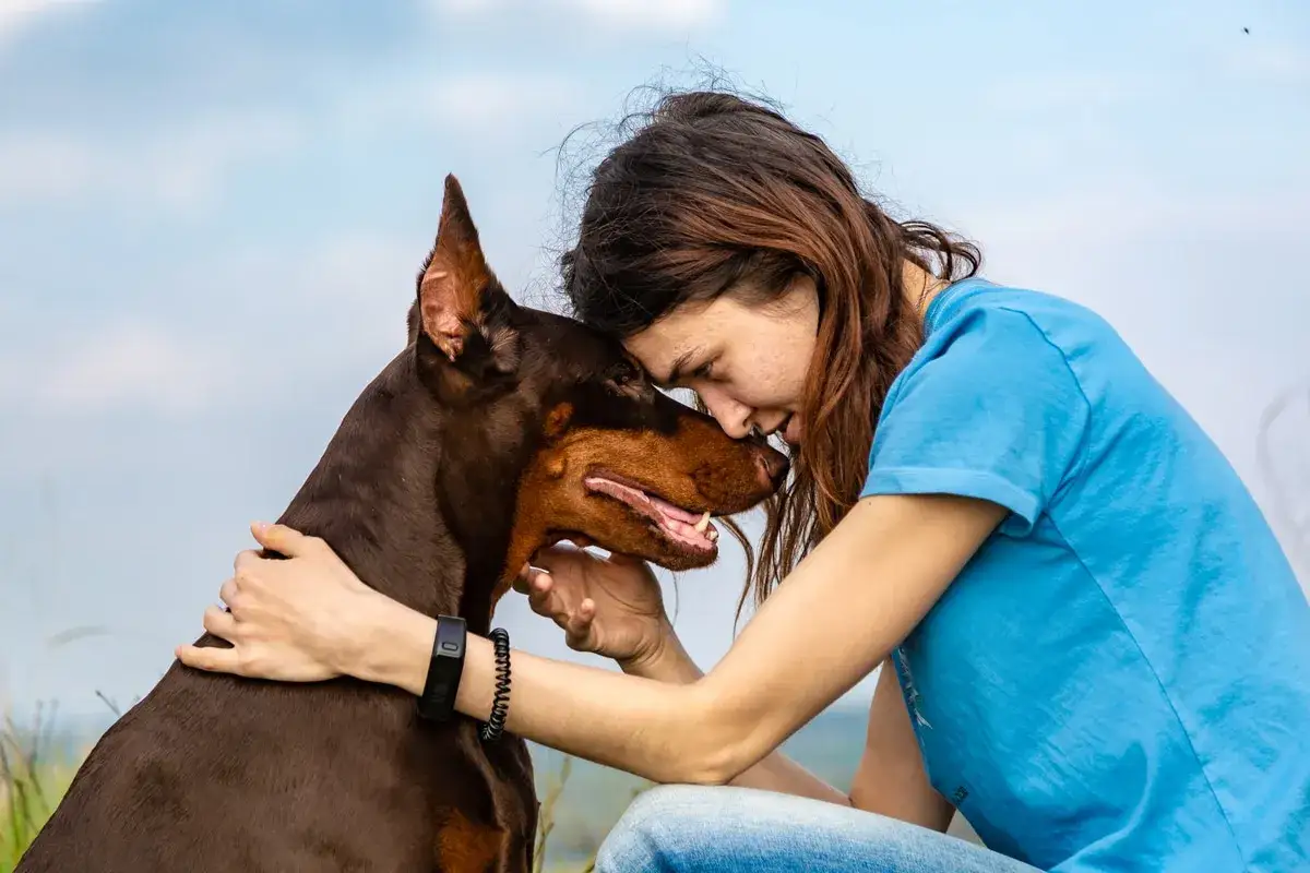 Un abbraccio intenso tra una ragazza e il suo dobermann. Un momento che racchiude i dobermann pregi e difetti: fedelt&agrave; e amore incondizionato.