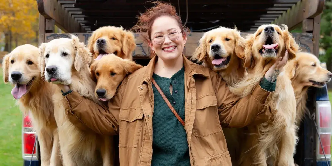 Un gruppo di golden retriever, noti per il loro temperamento amichevole, circonda una donna sorridente.