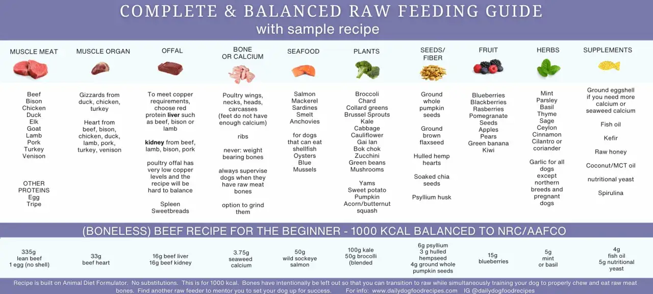 Guida completa all'alimentazione barf cane: carne, organi, pesce, verdure, frutta, erbe e integratori per una dieta equilibrata.