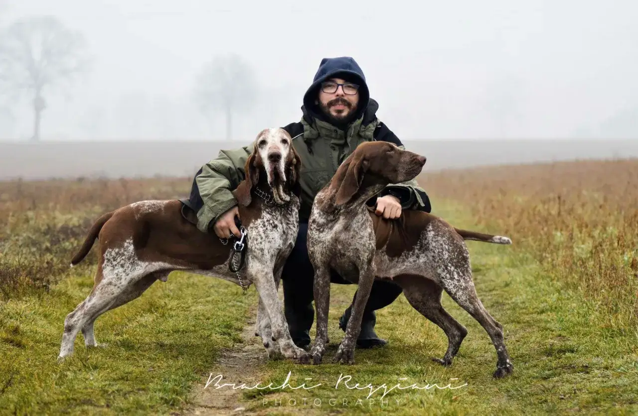 Uomo con due splendidi cani bracco in un campo nebbioso.