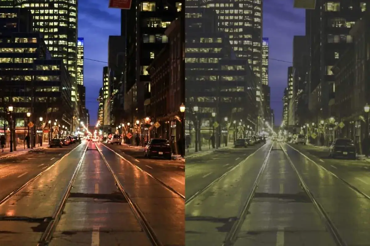 La strada di notte, con palazzi illuminati, vista come la vedono i cani: meno colori, più sfumature di giallo e blu.